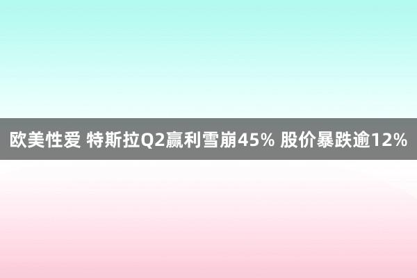 欧美性爱 特斯拉Q2赢利雪崩45% 股价暴跌逾12%