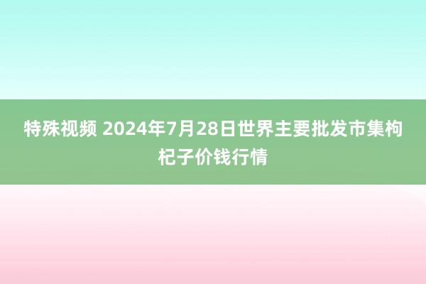 特殊视频 2024年7月28日世界主要批发市集枸杞子价钱行情