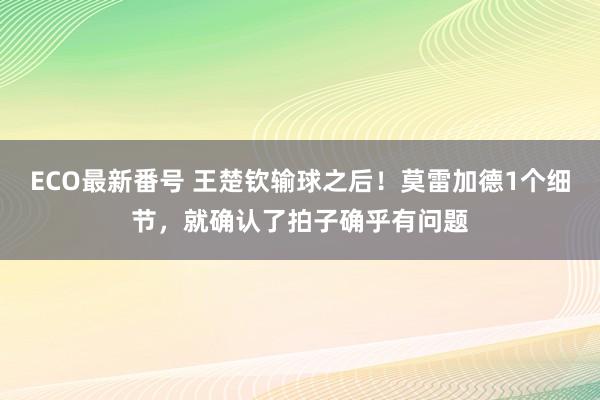 ECO最新番号 王楚钦输球之后！莫雷加德1个细节，就确认了拍子确乎有问题