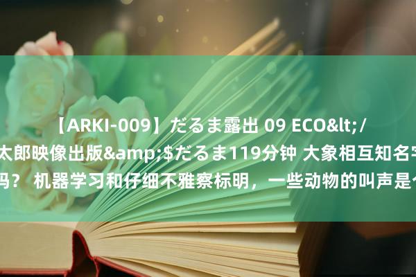 【ARKI-009】だるま露出 09 ECO</a>2008-06-19桃太郎映像出版&$だるま119分钟 大象相互知名字吗？ 机器学习和仔细不雅察标明，一些动物的叫声是个体私有的，相同于东谈主的名字。