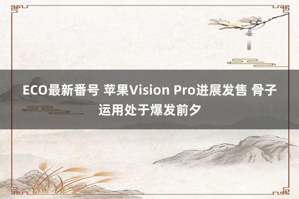 ECO最新番号 苹果Vision Pro进展发售 骨子运用处于爆发前夕