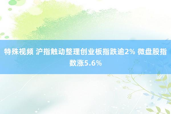 特殊视频 沪指触动整理创业板指跌逾2% 微盘股指数涨5.6%