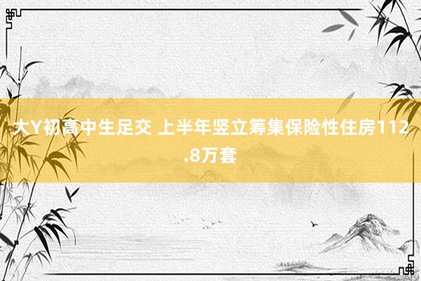 大Y初高中生足交 上半年竖立筹集保险性住房112.8万套