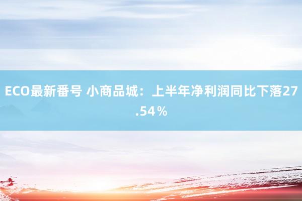 ECO最新番号 小商品城：上半年净利润同比下落27.54％