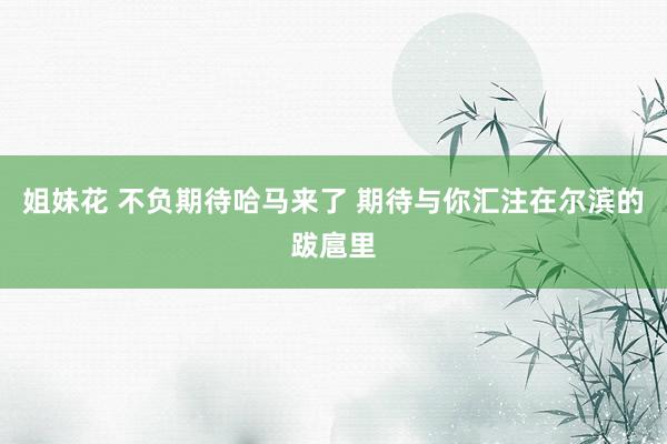 姐妹花 不负期待哈马来了 期待与你汇注在尔滨的跋扈里