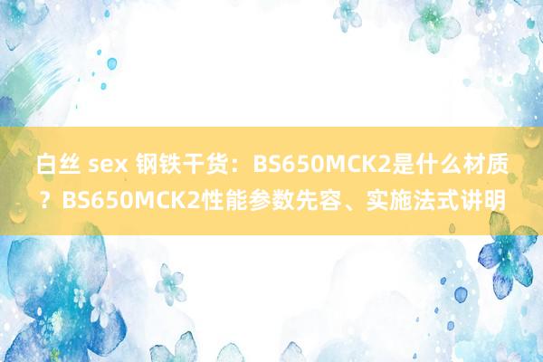 白丝 sex 钢铁干货：BS650MCK2是什么材质？BS650MCK2性能参数先容、实施法式讲明