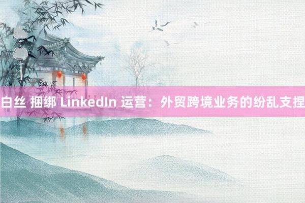 白丝 捆绑 LinkedIn 运营：外贸跨境业务的纷乱支捏