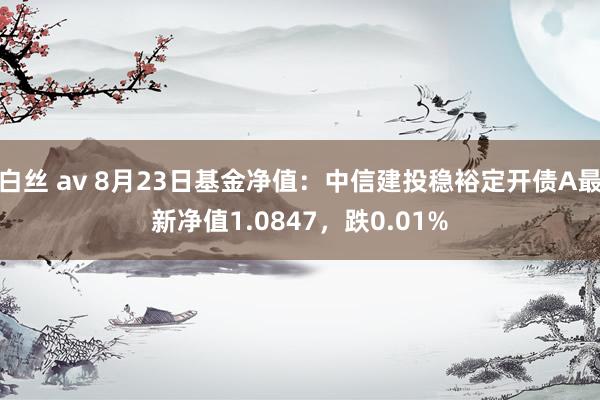 白丝 av 8月23日基金净值：中信建投稳裕定开债A最新净值1.0847，跌0.01%