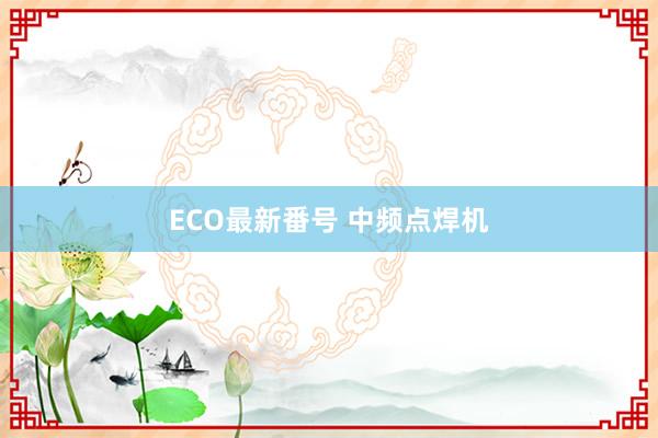 ECO最新番号 中频点焊机