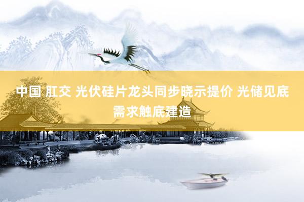 中国 肛交 光伏硅片龙头同步晓示提价 光储见底需求触底建造