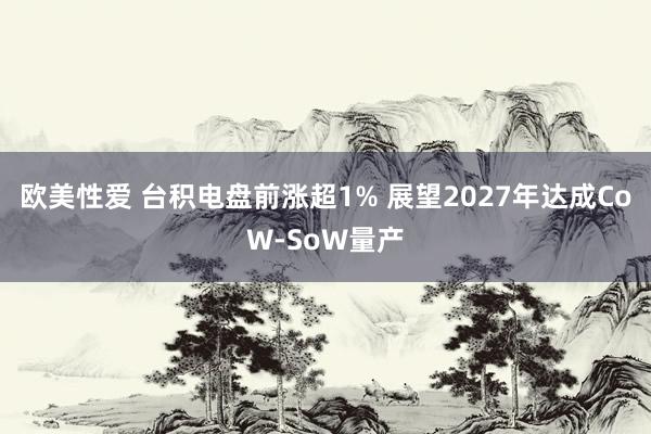 欧美性爱 台积电盘前涨超1% 展望2027年达成CoW-SoW量产