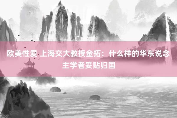 欧美性爱 上海交大教授金拓：什么样的华东说念主学者妥贴归国